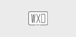 Wxdown(公众号离线文章保存) v1.0.4 绿色版-代码飓风