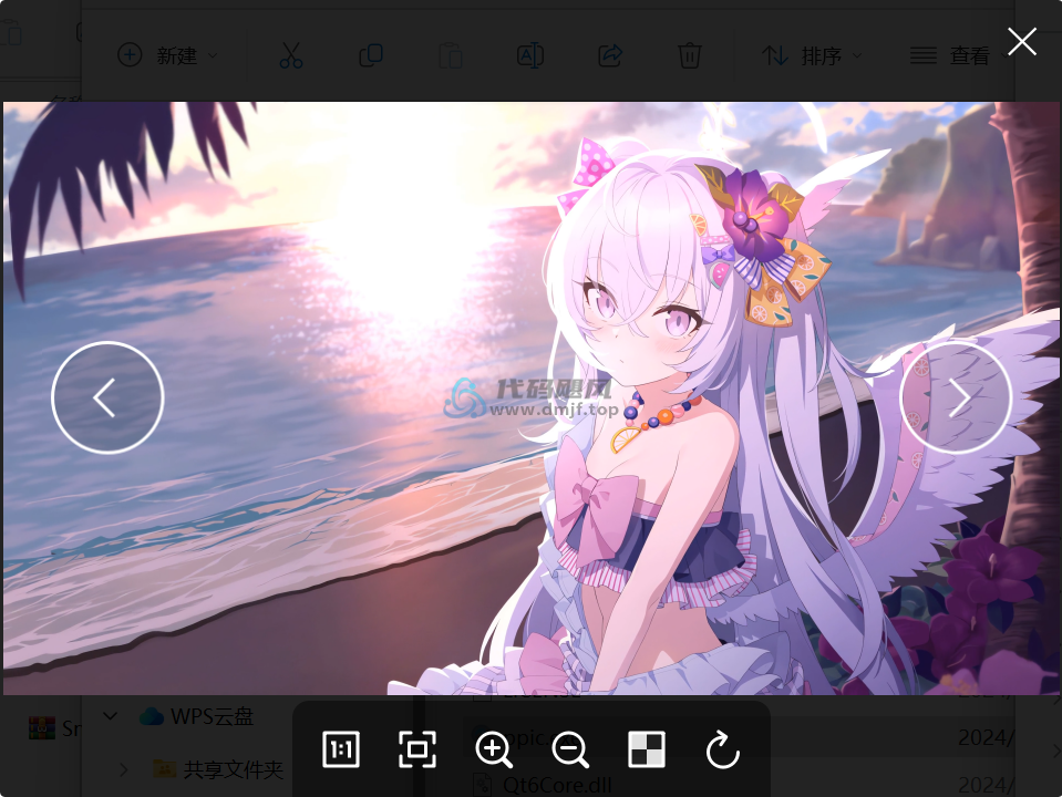 图片[1]-Pineapple Pictures(菠萝看图) v0.8.2.1 官方版-代码飓风
