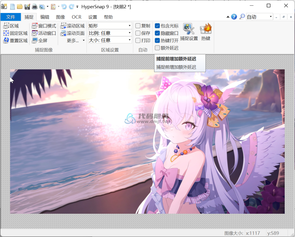 图片[1]-HyperSnap(屏幕截图工具) v9.5.2 修改便携版-代码飓风