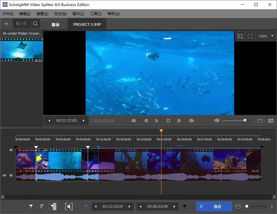 图片[1]-SolveigMM Video Splitter(视频剪辑) v8.1.2410.31 特别版-代码飓风