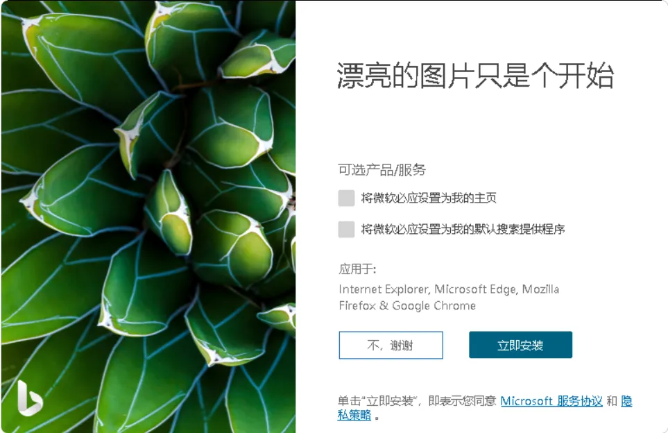 图片[1]-Bing Wallpaper(微软壁纸) v2.0.1.1 中文多语免费版-代码飓风