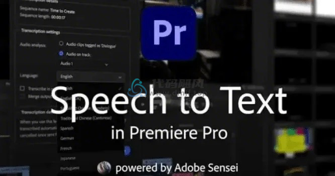 图片[2]-语音转字幕插件！多款语言支持！最新Adobe 2024 PR ，转字幕即可一键实现-代码飓风