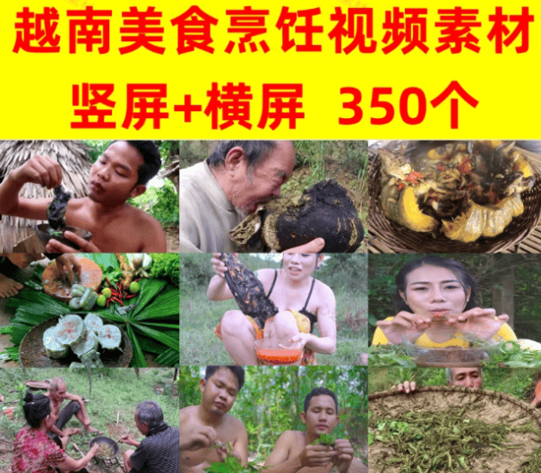 抖音热门越南美食！无水印素材文件，抖音高播放视频素材-代码飓风