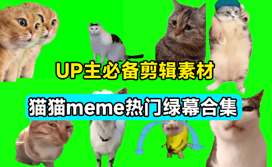 180套猫猫meme动态绿幕！B站某音热门绿幕素材，含背景图BGM，含使用教程，UP主必备！-代码飓风