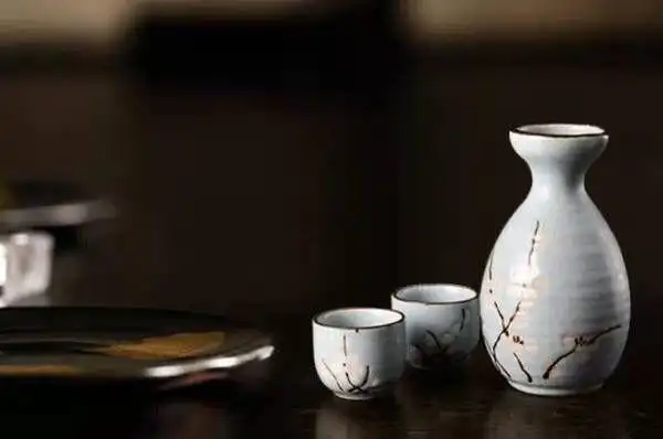 酒桌攻心计！玩转酒局，喝酒技术，制作酒方，养生知识等-代码飓风