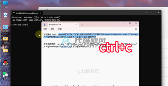 图片[6]-【131】Windows暂停更新2999年，时间久的，根本等不到！-代码飓风