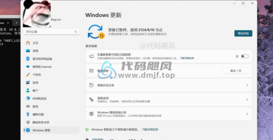 图片[9]-【131】Windows暂停更新2999年，时间久的，根本等不到！-代码飓风