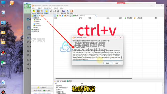 图片[12]-【132】万众期待，夸克网盘不限速下载，78MB/S直接起飞！-代码飓风