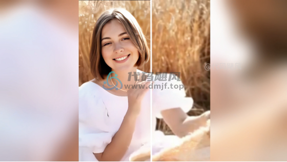 图片[4]-【133】480P变8K，拒绝渣画质视频！动漫|人像|风景|降噪|黑白上色|视频高清放大修复-代码飓风