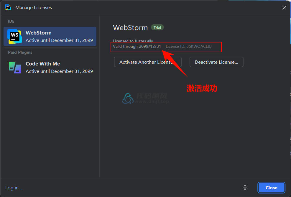 图片[22]-Webstorm v2024.3.1.1 最新破解版安装教程-至2099年（适用JetBrains 全家桶）-代码飓风