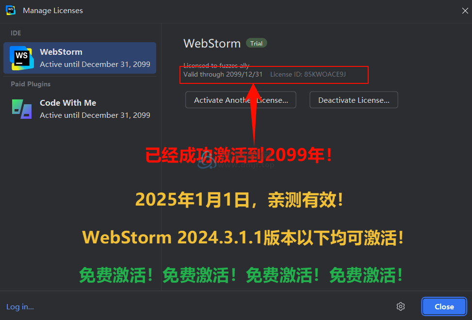 图片[2]-Webstorm v2024.3.1.1 最新破解版安装教程-至2099年（适用JetBrains 全家桶）-代码飓风