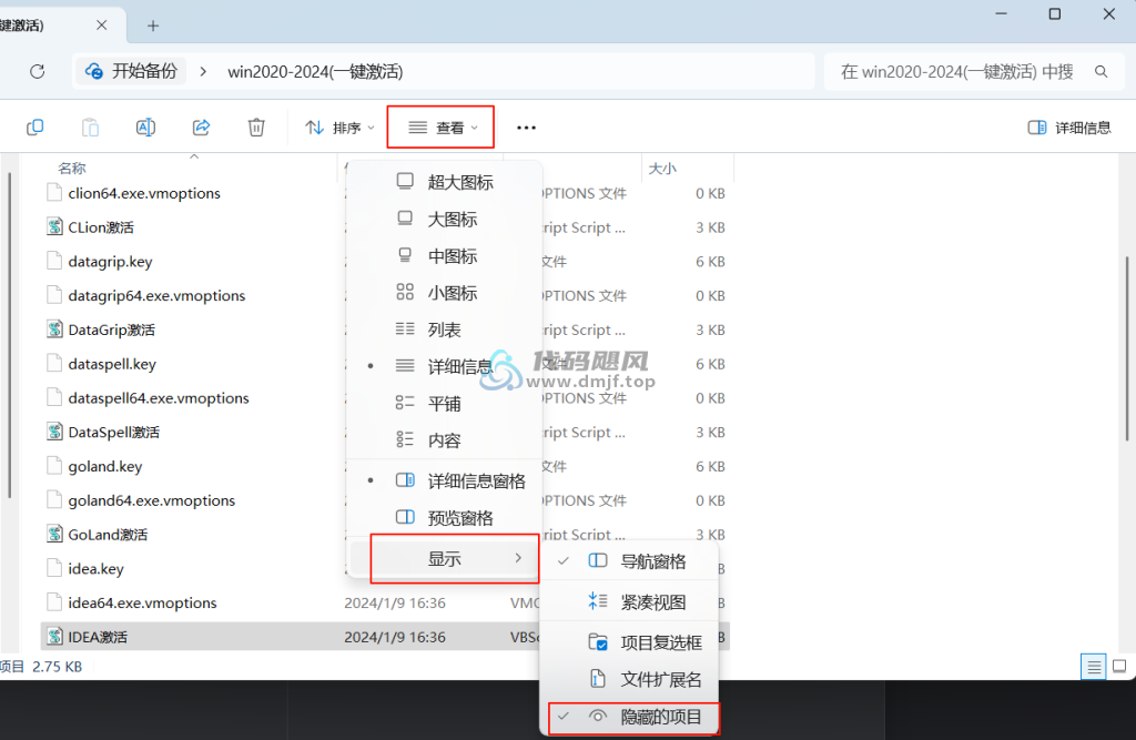 图片[25]-IntelliJ IDEA 2024.3.1.1 最新破解版安装教程-至2099年（适用JetBrains 全家桶）-代码飓风