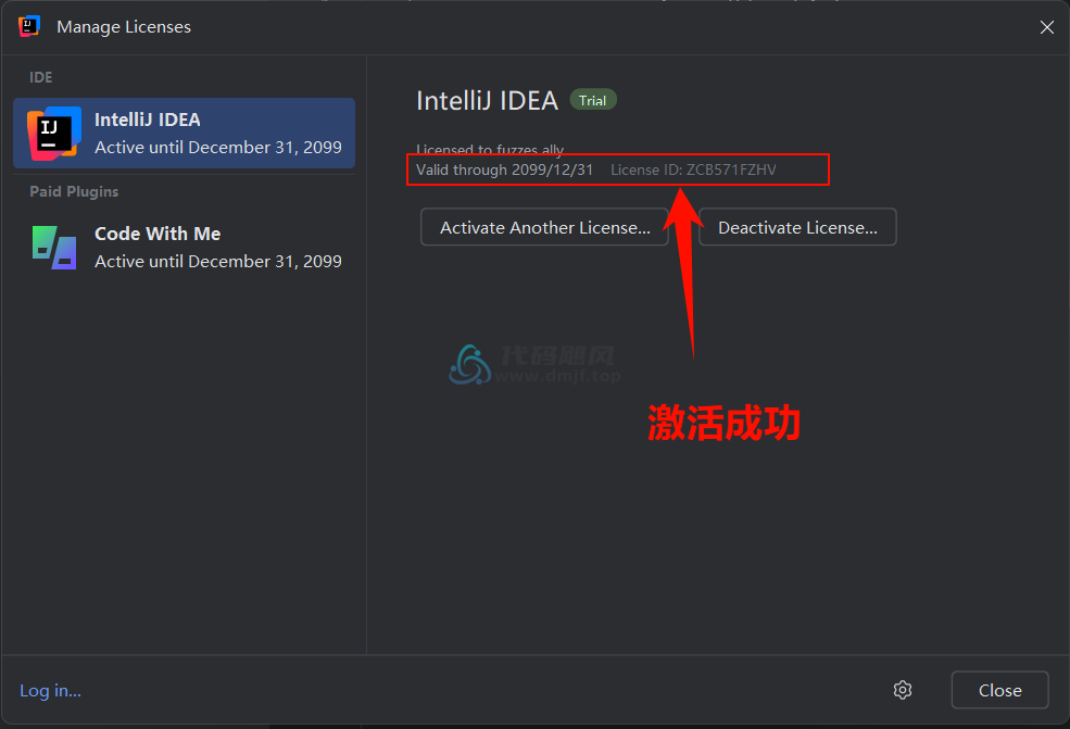 图片[22]-IntelliJ IDEA 2024.3.1.1 最新破解版安装教程-至2099年（适用JetBrains 全家桶）-代码飓风