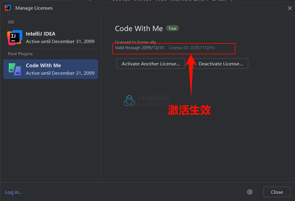 图片[30]-IntelliJ IDEA 2024.3.1.1 最新破解版安装教程-至2099年（适用JetBrains 全家桶）-代码飓风