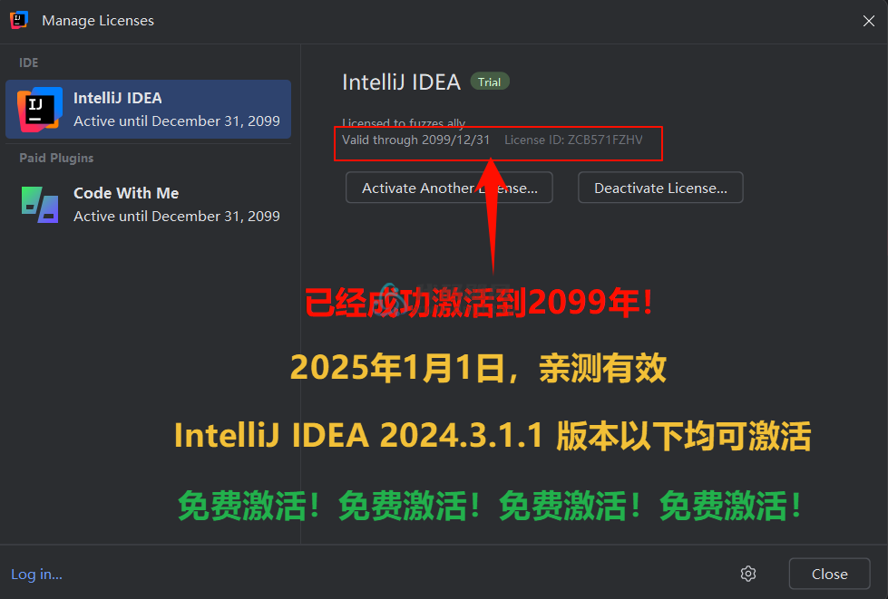图片[2]-IntelliJ IDEA 2024.3.1.1 最新破解版安装教程-至2099年（适用JetBrains 全家桶）-代码飓风
