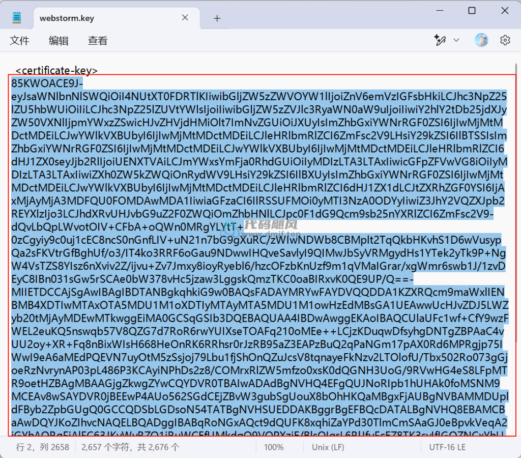 图片[27]-Webstorm v2024.3.1.1 最新破解版安装教程-至2099年（适用JetBrains 全家桶）-代码飓风
