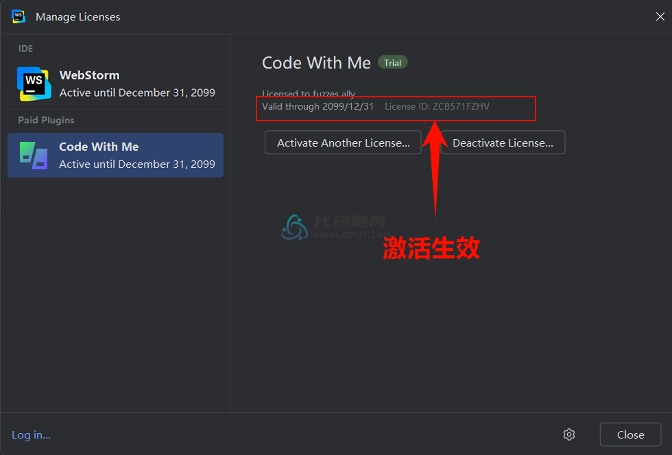 图片[30]-Webstorm v2024.3.1.1 最新破解版安装教程-至2099年（适用JetBrains 全家桶）-代码飓风