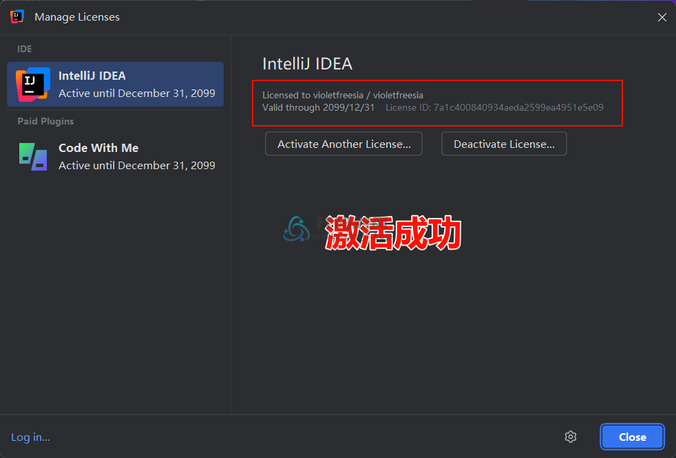 图片[9]-百分百自动化激活JetBrains 全家桶，一键激活到2099年！-代码飓风