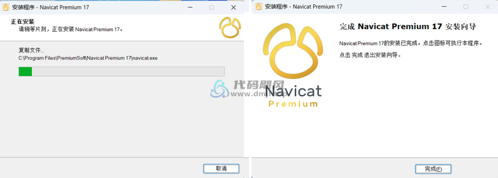 图片[4]-Navicat Premium 17 （win/mac）安装破解激活图文教程-代码飓风