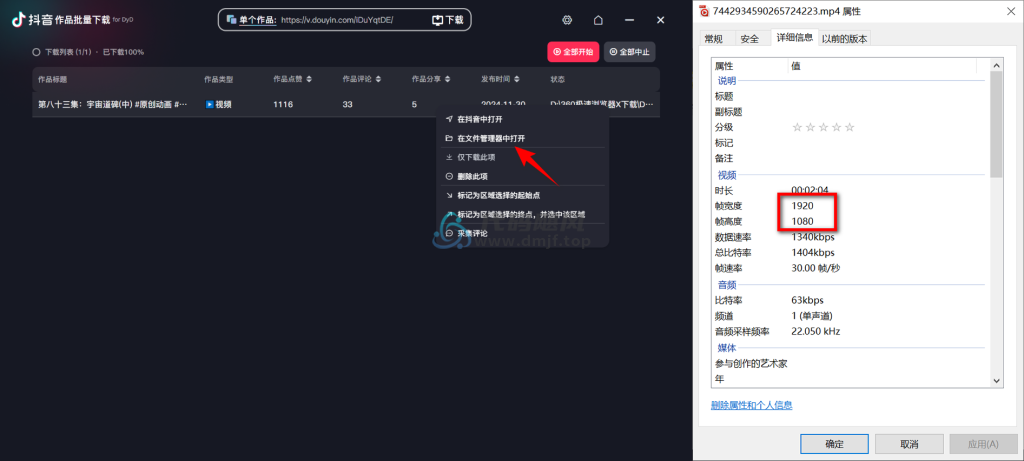 图片[6]-【754】DyD(多平台批量无水印视频图集下载器) v3.0.3 绿色便携版-代码飓风